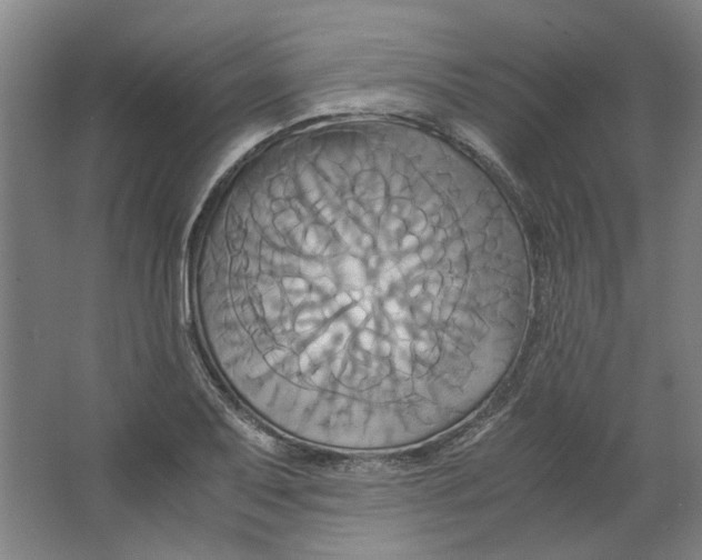 X0000063471079200602101734