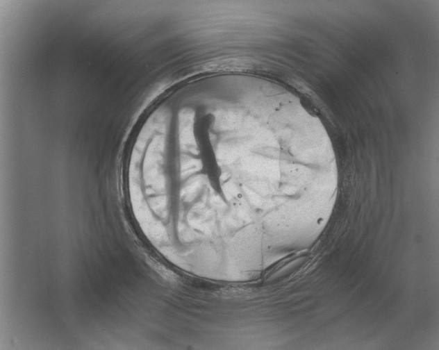 X0000063471083200602101734