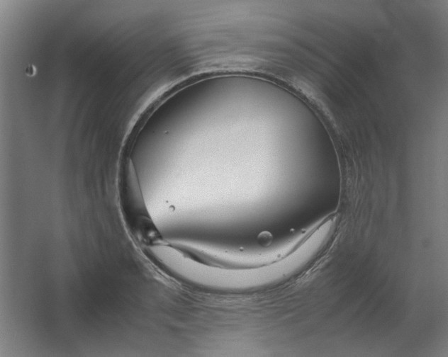 X0000063471085200602101734