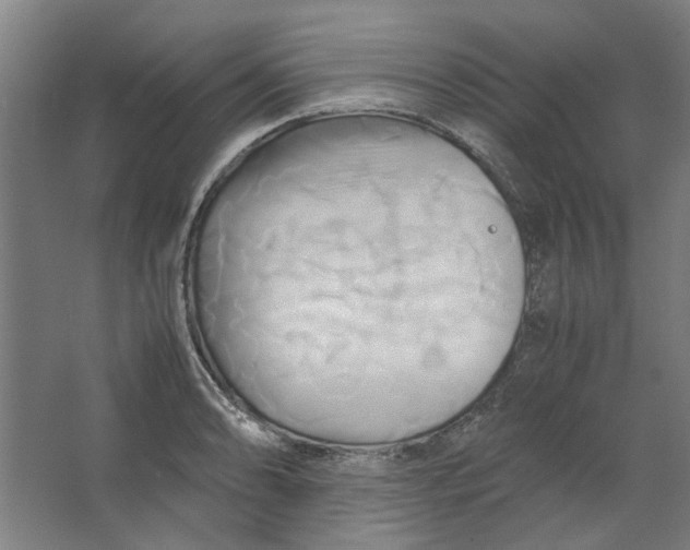 X0000063471086200602101734