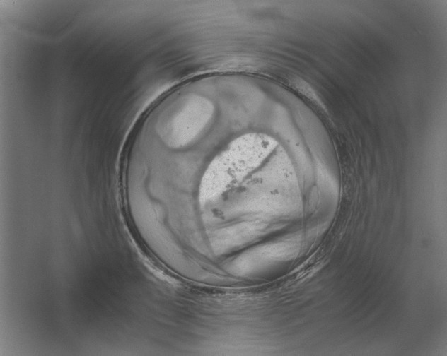 X0000063471087200602101734