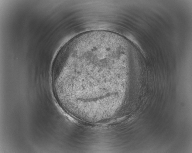 X0000063471088200602101734