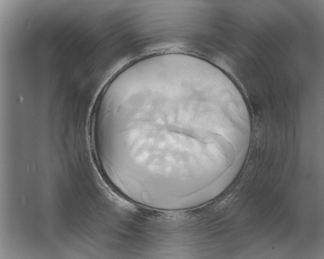 X0000063471090200602101734