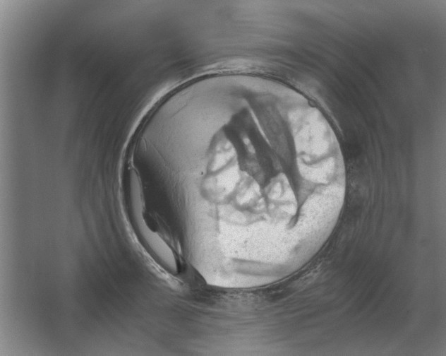 X0000063471091200602101734