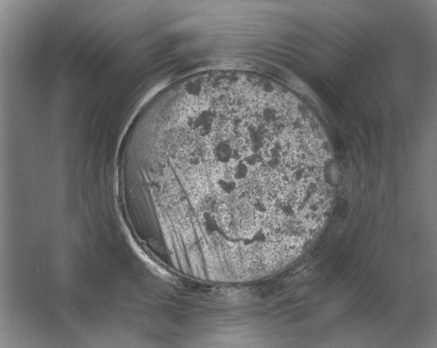 X0000063471095200602101734