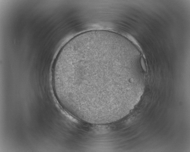 X0000063471096200602101734