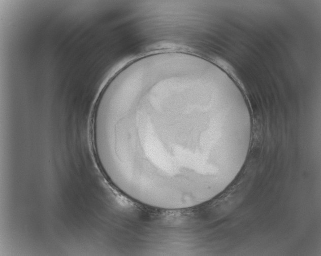 X0000063471098200602101734