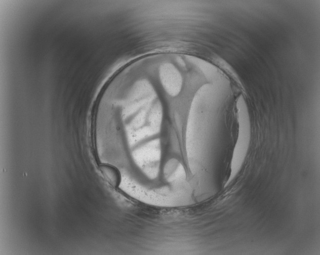 X0000063471099200602101734