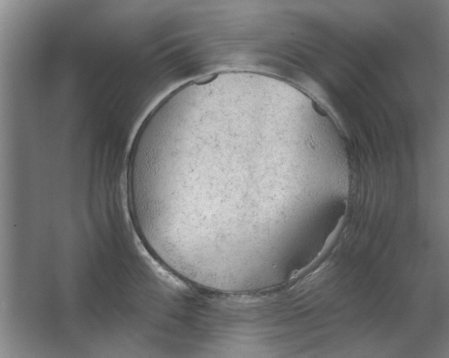 X0000063471100200602101734