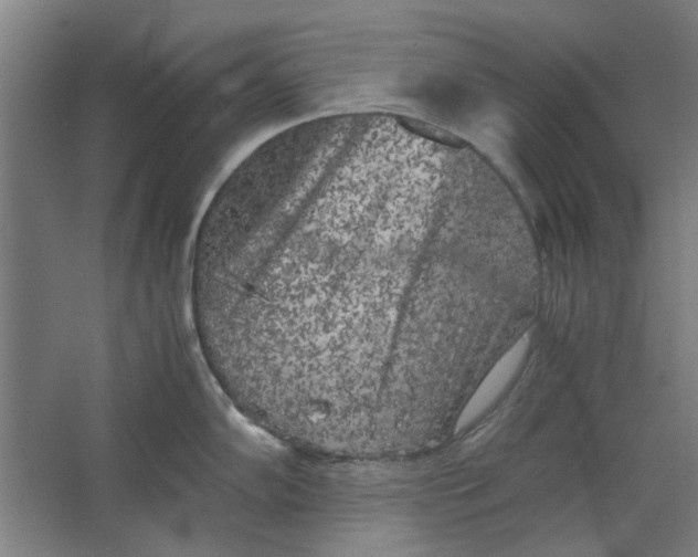 X0000063471102200602101734