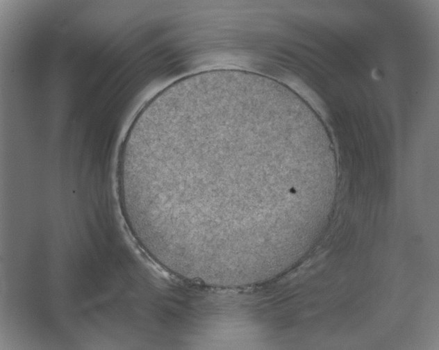 X0000063471104200602101734