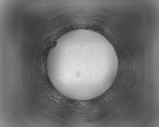 X0000063471109200602101733