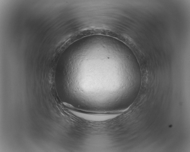 X0000063471110200602101733