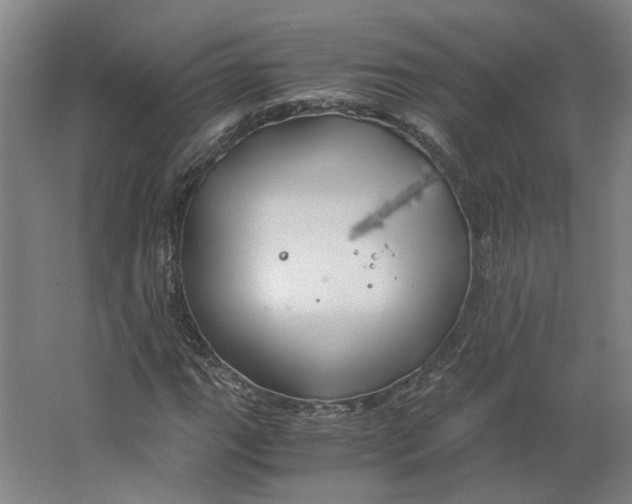 X0000063471111200602101733