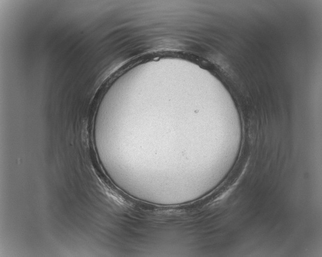 X0000063471113200602101733