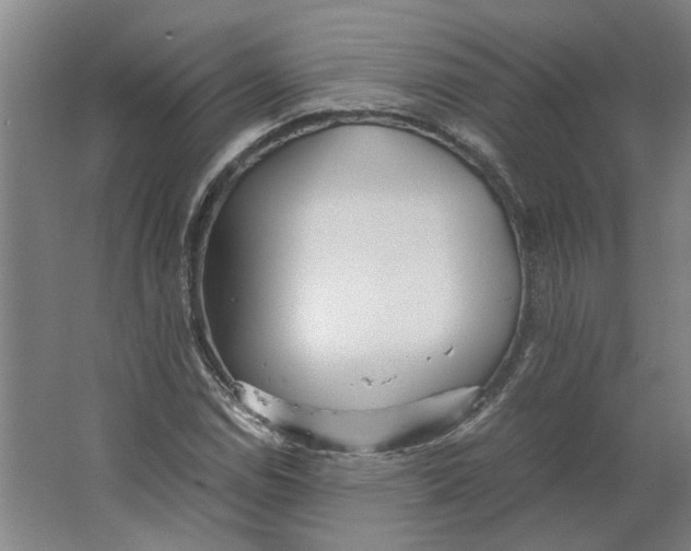 X0000063471114200602101733