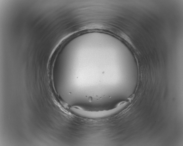 X0000063471116200602101733