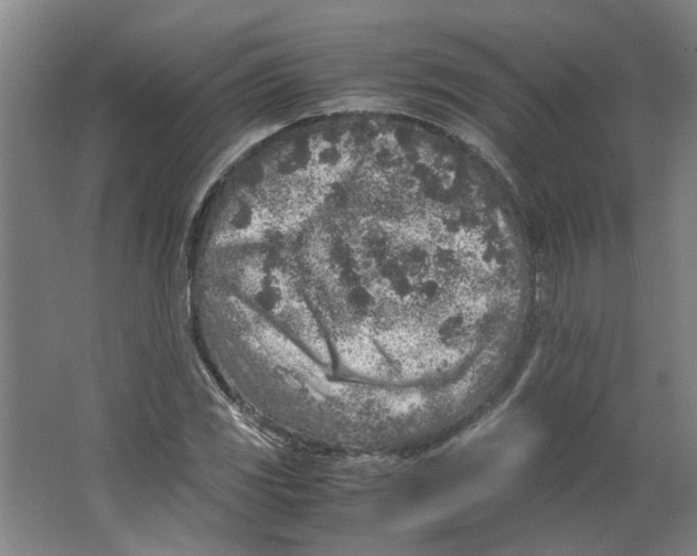 X0000063471117200602101733