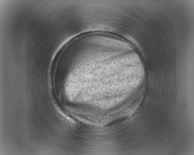 X0000063471120200602101733