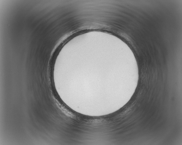 X0000063471122200602101733