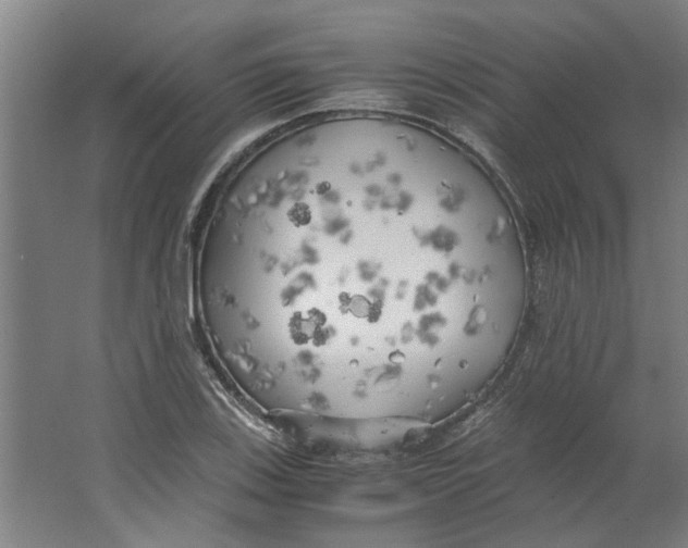 X0000063471123200602101733