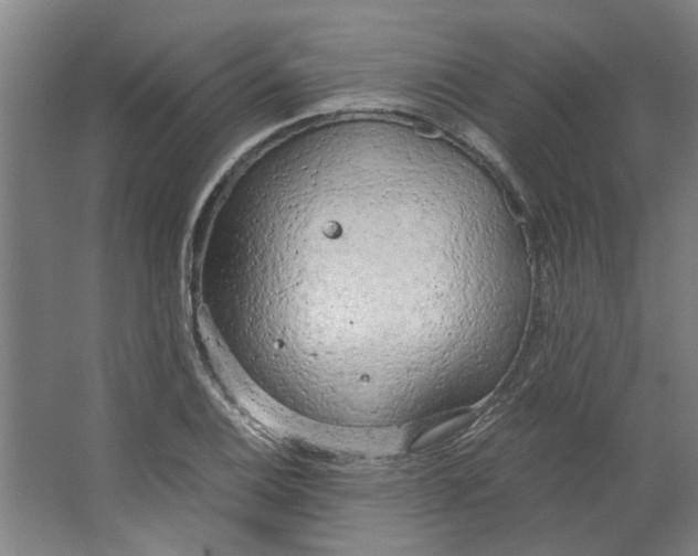 X0000063471124200602101733