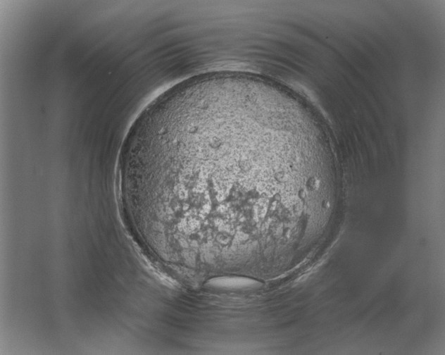 X0000063471125200602101733