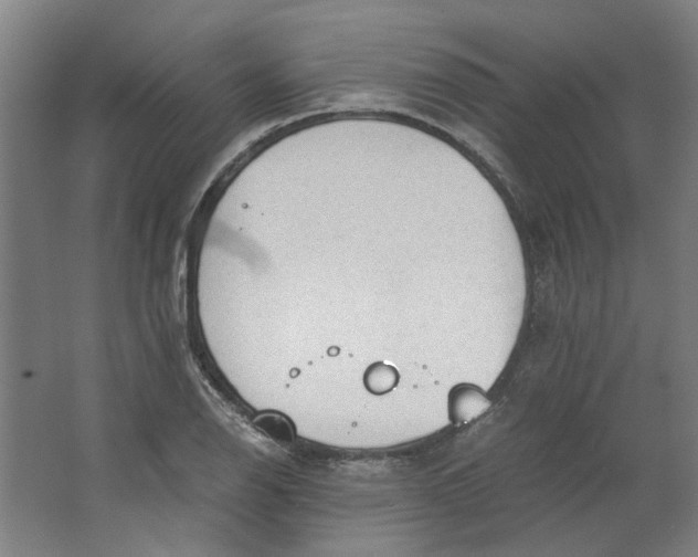 X0000063471126200602101733