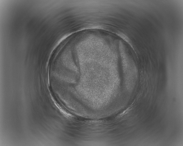 X0000063471127200602101733