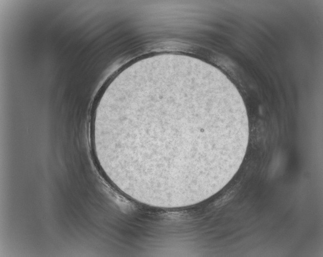 X0000063471130200602101733