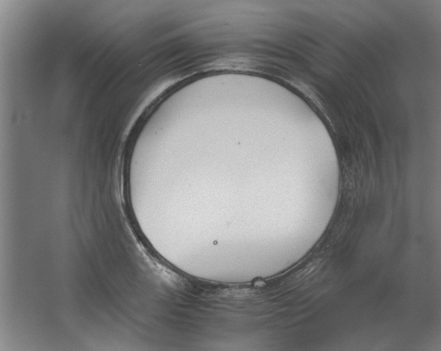 X0000063471131200602101733