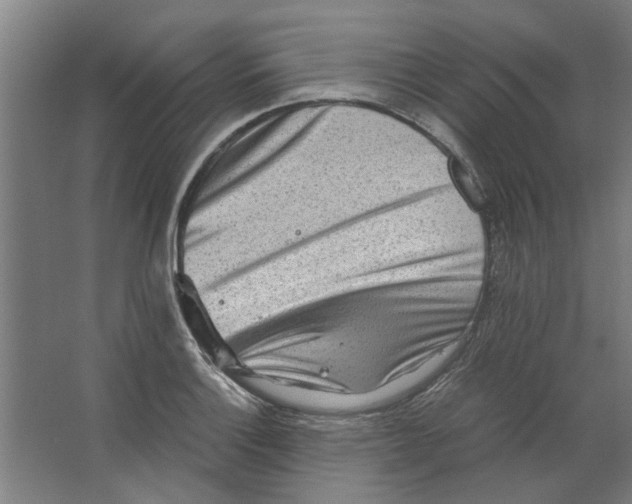 X0000063471132200602101733