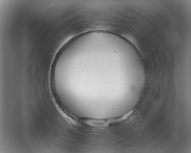 X0000063471135200602101733