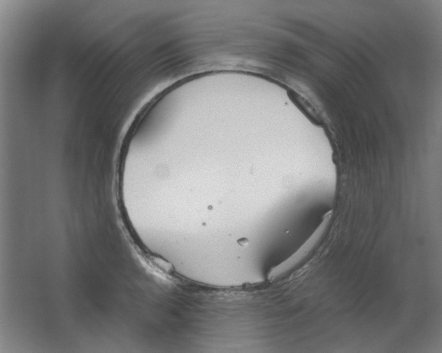 X0000063471136200602101733