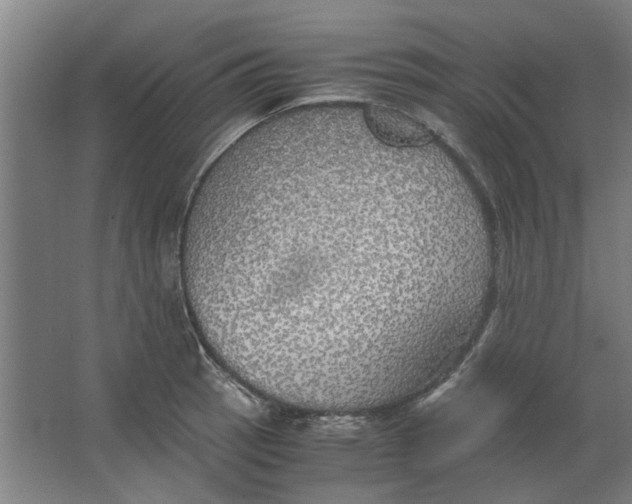 X0000063471137200602101733