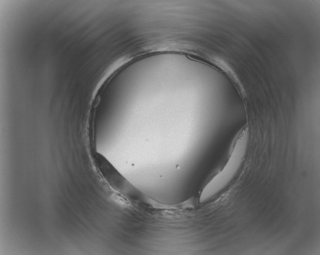 X0000063471138200602101734