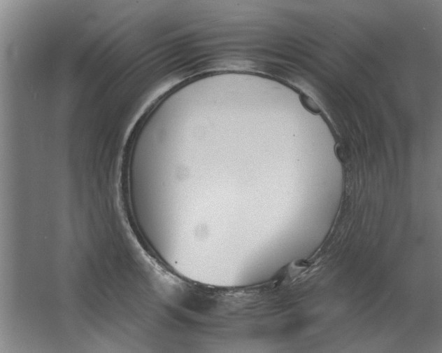 X0000063471139200602101734