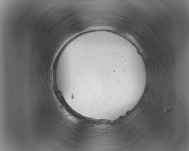 X0000063471140200602101734