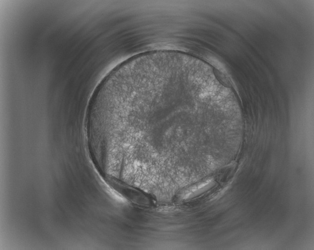 X0000063471141200602101734