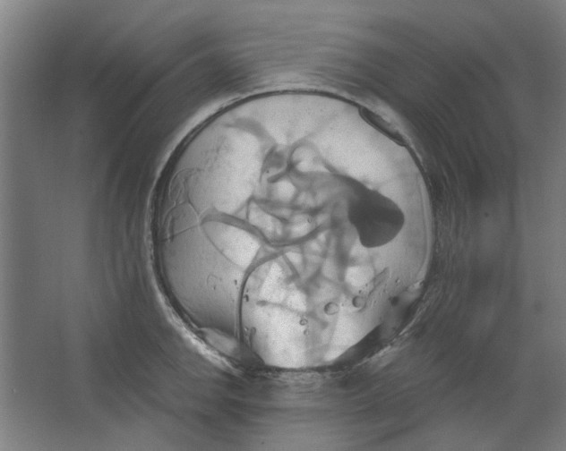 X0000063471142200602101734