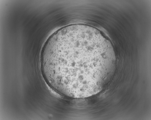 X0000063471143200602101734