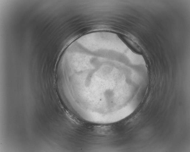 X0000063471145200602101734