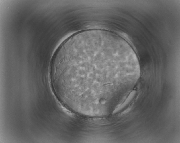 X0000063471149200602101734