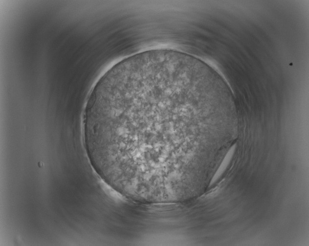 X0000063471151200602101734