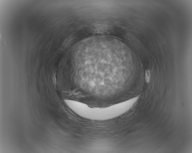 X0000063471155200602101733