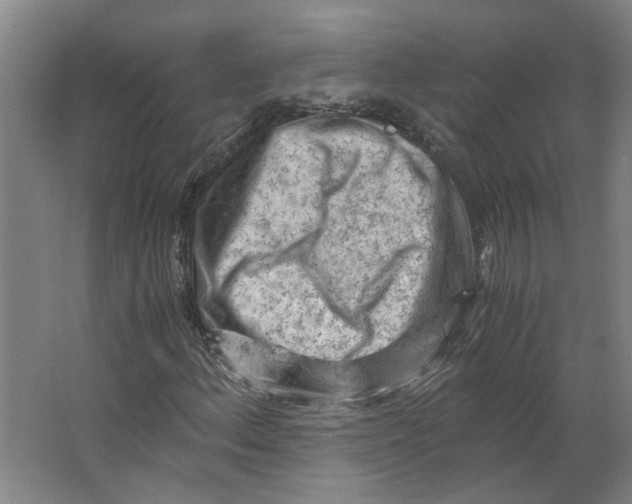 X0000063471156200602101733