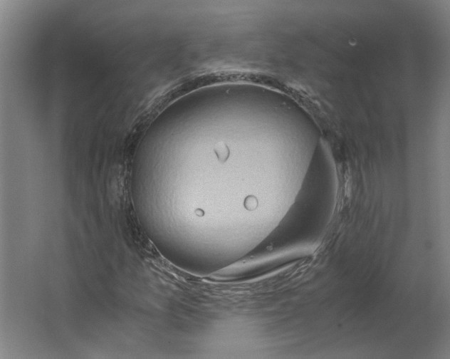 X0000063471157200602101733