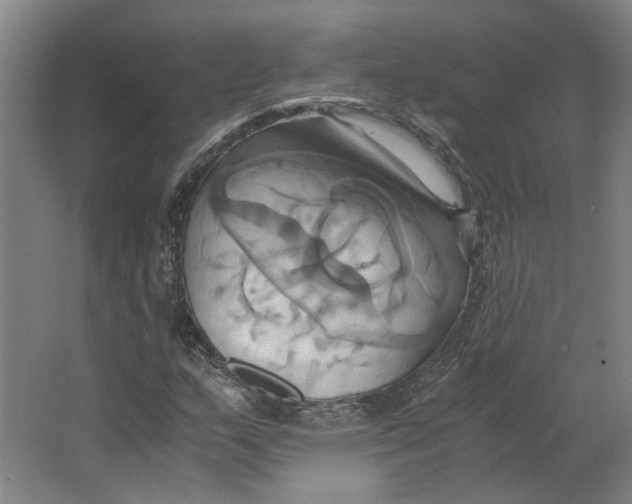 X0000063471159200602101733