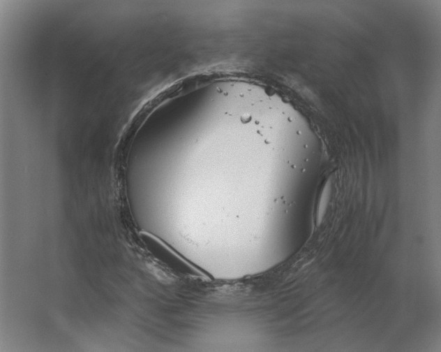 X0000063471160200602101733