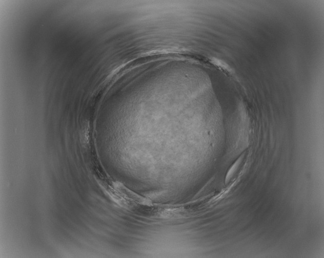 X0000063471161200602101733